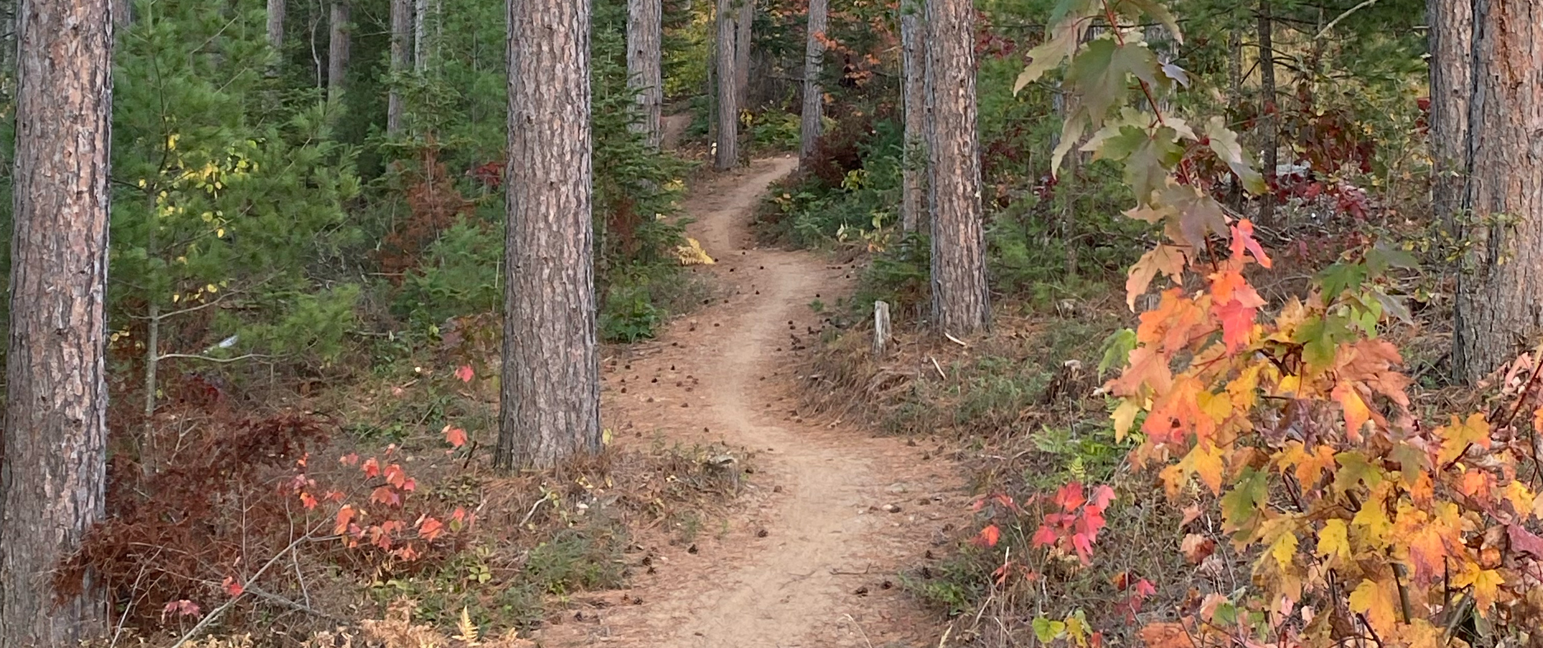 Sucker Springs Carol Warden Photo Of Trail